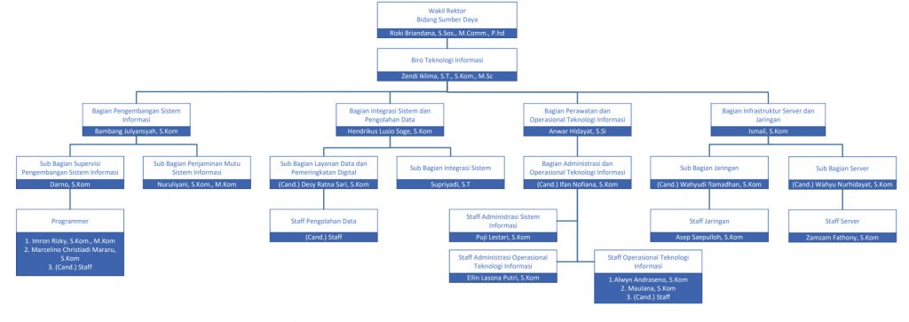 Struktur Organisasi Biro Teknologi Informasi